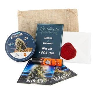 Blue 2.0 (Kannabia x Zamnesia)