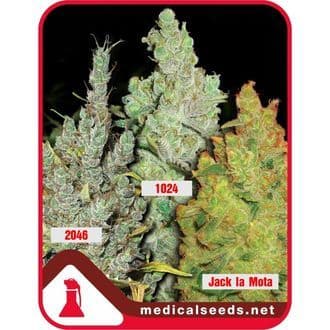 Collection 2 (Medical Seeds)