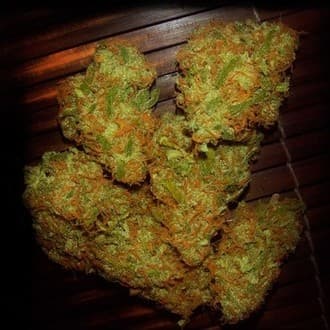 Amnezia VIP (VIP Seeds)