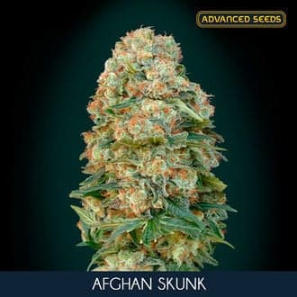 Afghan Skunk (Advanced Seeds)