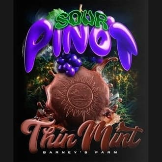 Thin Mint x Sour Pinot Auto (Barney's Farm)