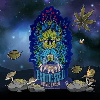 Cosmic Raiser (Exotic Seed)