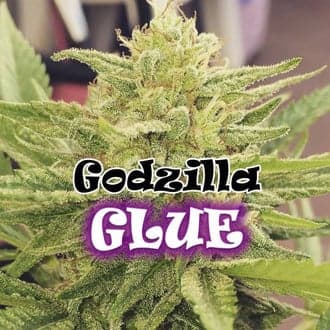 Godzilla Glue (Dr. Underground)