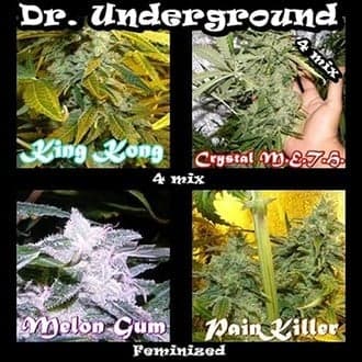 Surprise Killer Mix (Dr. Underground)