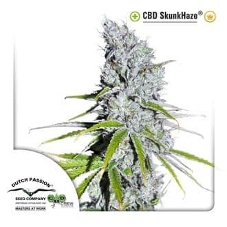 CBD Skunk Haze (Dutch Passion)
