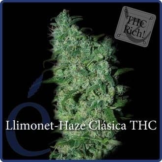 Llimonet Haze Classic THC (Elite Seeds)