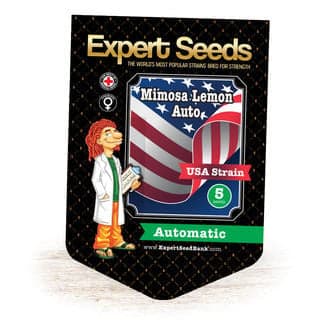 Mimosa Lemon Auto (Expert Seeds)