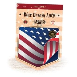 Blue Dream Auto (Garden of Green)