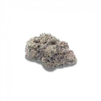 Cherry Zoap Autoflower (Growers Choice)