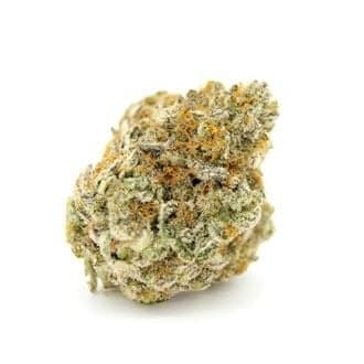 Forbidden Runtz XL Auto (Growers Choice)