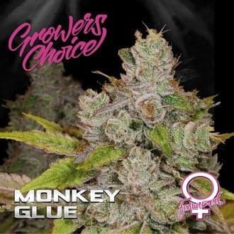 Monkey Glue (Growers Choice)