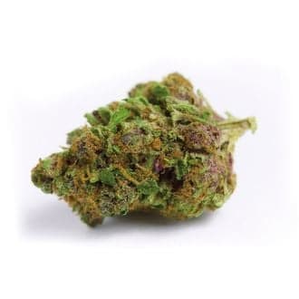 Red Banana Berry XL Auto (Growers Choice)