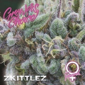 Zkittlez (Growers Choice)