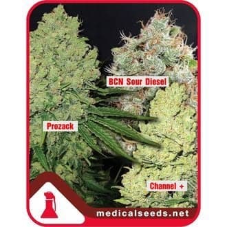 Collection 1 (Medical Seeds)