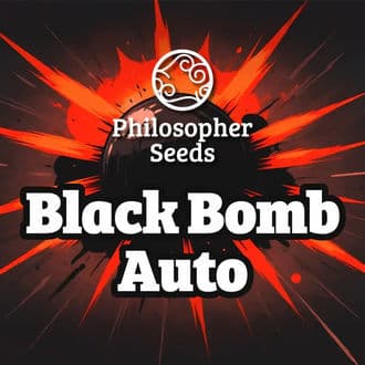 Black Bomb Auto (Philosopher Seeds)