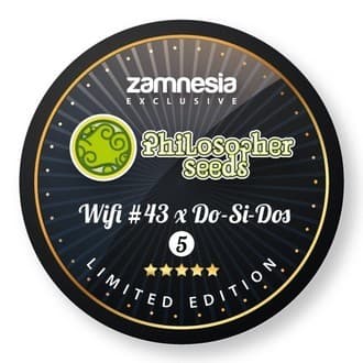 Wifi 43 x Do-Si-Dos (Philosopher Seeds x Zamnesia)