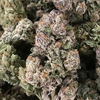 Dark GhostTrain (Rare Dankness)