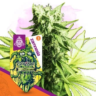 Sticky Beast (Zamnesia Seeds)