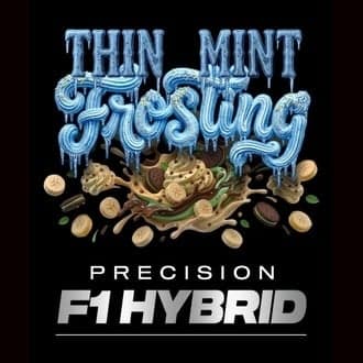 Thin Mint Frosting F1 (Barney's Farm)
