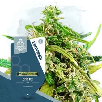 CBD Fix (Zamnesia Seeds)