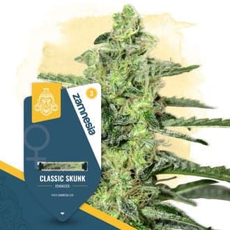 Classic Skunk (Zamnesia Seeds)