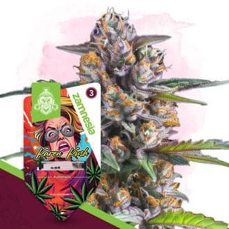 Karen Kush Autoflower (Zamnesia Seeds)
