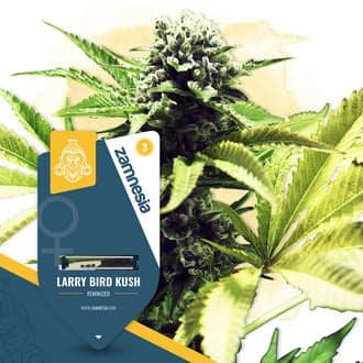 Larry Bird Kush (Zamnesia Seeds)