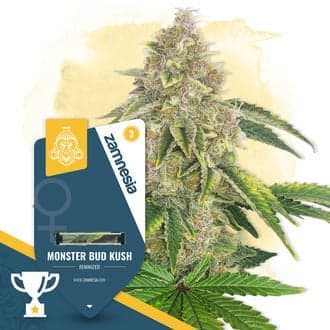 Monster Bud Kush (Zamnesia Seeds)