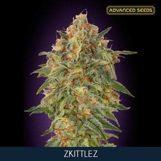 Zkittlez (Advanced Seeds)